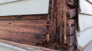 damaged wood